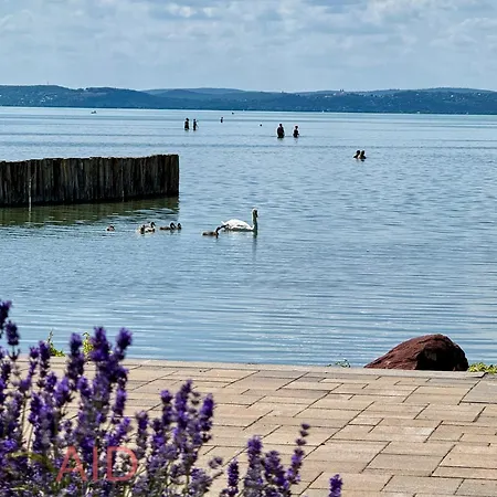 Lejlighed Azur - Hostaid Siófok